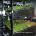 Vertical farming hydroponic fodder system container farm